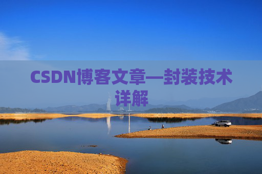 CSDN博客文章—封装技术详解